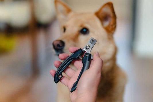 Dog Nail Cutter, Clipper